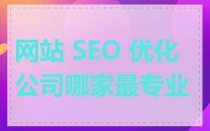 网站 SEO 优化公司哪家最专业