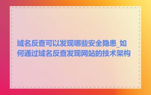 域名反查可以发现哪些安全隐患_如何通过域名反查发现网站的技术架构