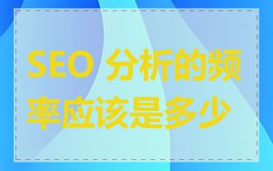 SEO 分析的频率应该是多少