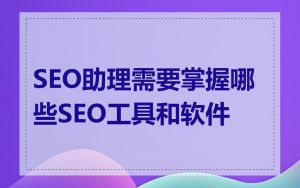 SEO助理需要掌握哪些SEO工具和软件