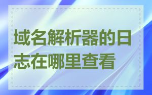 域名解析器的日志在哪里查看