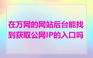 在万网的网站后台能找到获取公网IP的入口吗