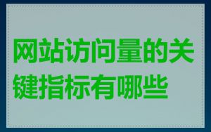 网站访问量的关键指标有哪些