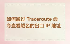 如何通过 Traceroute 命令查看域名的出口 IP 地址