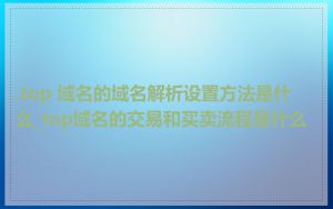 .top 域名的域名解析设置方法是什么_top域名的交易和买卖流程是什么