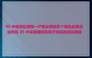 IIS 中如何处理同一IP地址绑定多个域名的情况_如何在 IIS 中实现根域名和子域名的域名绑定