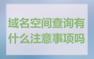 域名空间查询有什么注意事项吗