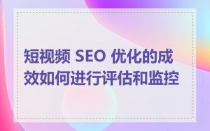 短视频 SEO 优化的成效如何进行评估和监控