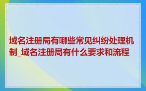 域名注册局有哪些常见纠纷处理机制_域名注册局有什么要求和流程