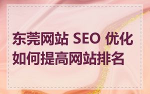 东莞网站 SEO 优化如何提高网站排名