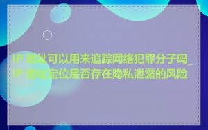 IP 地址可以用来追踪网络犯罪分子吗_IP 地址定位是否存在隐私泄露的风险