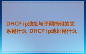 DHCP ip地址与子网掩码的关系是什么_DHCP ip地址是什么