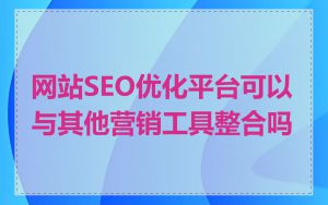 网站SEO优化平台可以与其他营销工具整合吗