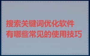 搜索关键词优化软件有哪些常见的使用技巧