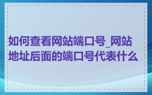 如何查看网站端口号_网站地址后面的端口号代表什么