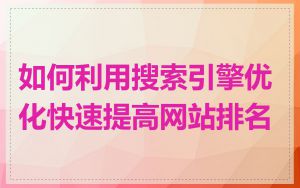 如何利用搜索引擎优化快速提高网站排名