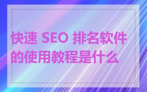 快速 SEO 排名软件的使用教程是什么