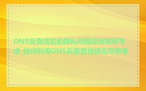 DNS反查域名的隐私问题应该如何考虑_如何利用DNS反查查找域名所有者