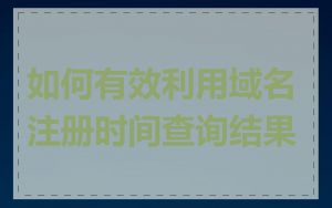 如何有效利用域名注册时间查询结果