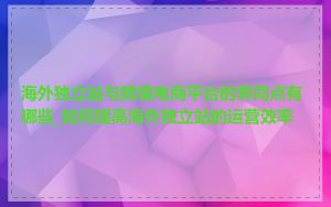 海外独立站与跨境电商平台的异同点有哪些_如何提高海外独立站的运营效率