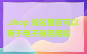 .shop 域名是否可以用于电子商务网站