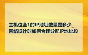 主机位全1的IP地址数量是多少_网络设计时如何合理分配IP地址段