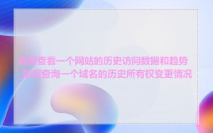 如何查看一个网站的历史访问数据和趋势_如何查询一个域名的历史所有权变更情况