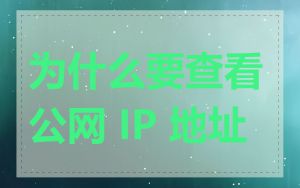 为什么要查看公网 IP 地址