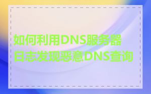 如何利用DNS服务器日志发现恶意DNS查询