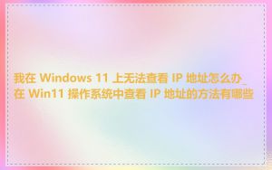 我在 Windows 11 上无法查看 IP 地址怎么办_在 Win11 操作系统中查看 IP 地址的方法有哪些