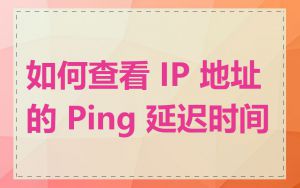 如何查看 IP 地址的 Ping 延迟时间