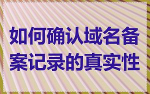 如何确认域名备案记录的真实性