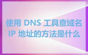 使用 DNS 工具查域名 IP 地址的方法是什么