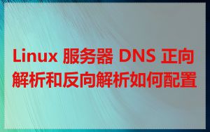 Linux 服务器 DNS 正向解析和反向解析如何配置