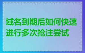 域名到期后如何快速进行多次抢注尝试