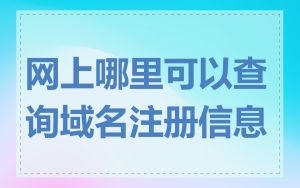 网上哪里可以查询域名注册信息