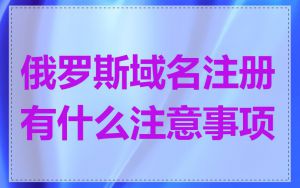 俄罗斯域名注册有什么注意事项