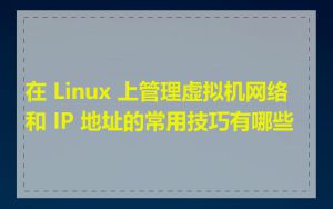 在 Linux 上管理虚拟机网络和 IP 地址的常用技巧有哪些