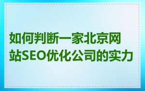 如何判断一家北京网站SEO优化公司的实力