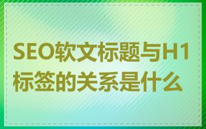 SEO软文标题与H1标签的关系是什么