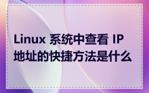 Linux 系统中查看 IP 地址的快捷方法是什么