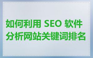 如何利用 SEO 软件分析网站关键词排名