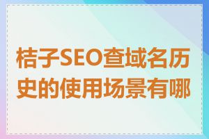 桔子SEO查域名历史的使用场景有哪些