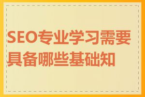 SEO专业学习需要具备哪些基础知识