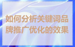 如何分析关键词品牌推广优化的效果