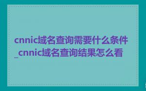 cnnic域名查询需要什么条件_cnnic域名查询结果怎么看