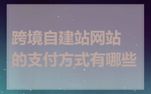 跨境自建站网站的支付方式有哪些