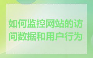 如何监控网站的访问数据和用户行为