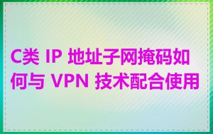 C类 IP 地址子网掩码如何与 VPN 技术配合使用