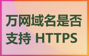 万网域名是否支持 HTTPS